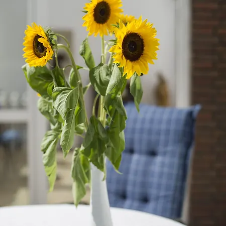 Dom wakacyjny Faltmann