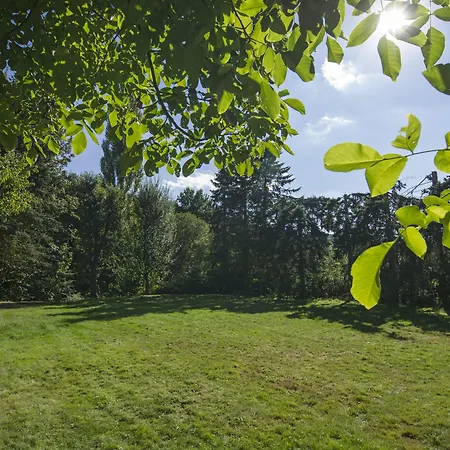 Faltmann Dom wakacyjny