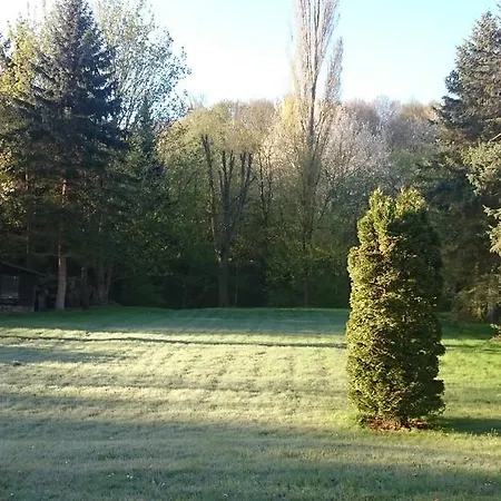 Faltmann Dom wakacyjny Heimbach